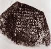 "[Here lies - eulogy] Naphtali son of Reb Shlomoh Ari. Died at age 72?, 11th Kislev year 564/66 as the abbreviated era. May her soul be bound in the bond of everlasting life."

Translated by Heidi M. Szpek, Ph.D. (szpekh@cwu.edu), Assistant Professor of Religious Studies, Department of Philosophy, Central Washington University, Ellensburg, WA 98926